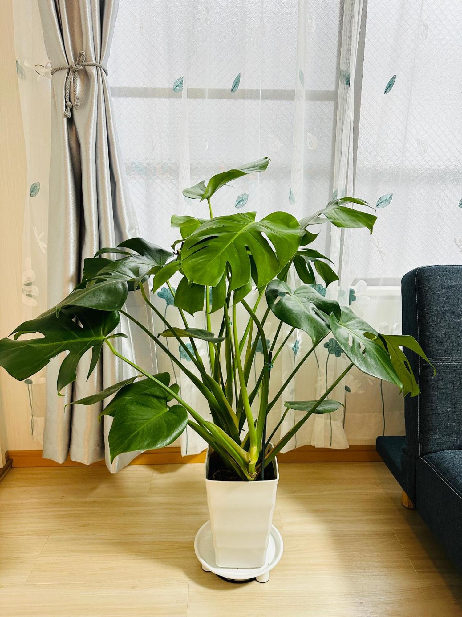Ueno Yuyuhouse 1Ldk For Rent, Close To Senso-Ji Temple,Kaminarimon Gate,Kappabashi Dougu Street,Akihabara,Shinjuku And Disneyland 도쿄 외부 사진